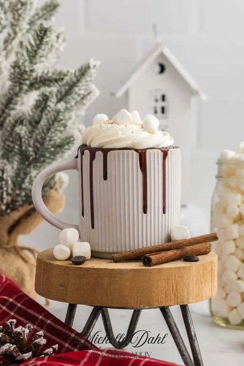 Mexican Chocolate Hot Cocoa Mug Cake