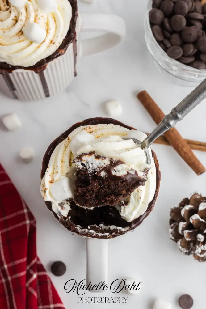 Mexican Chocolate Hot Cocoa Mug Cake