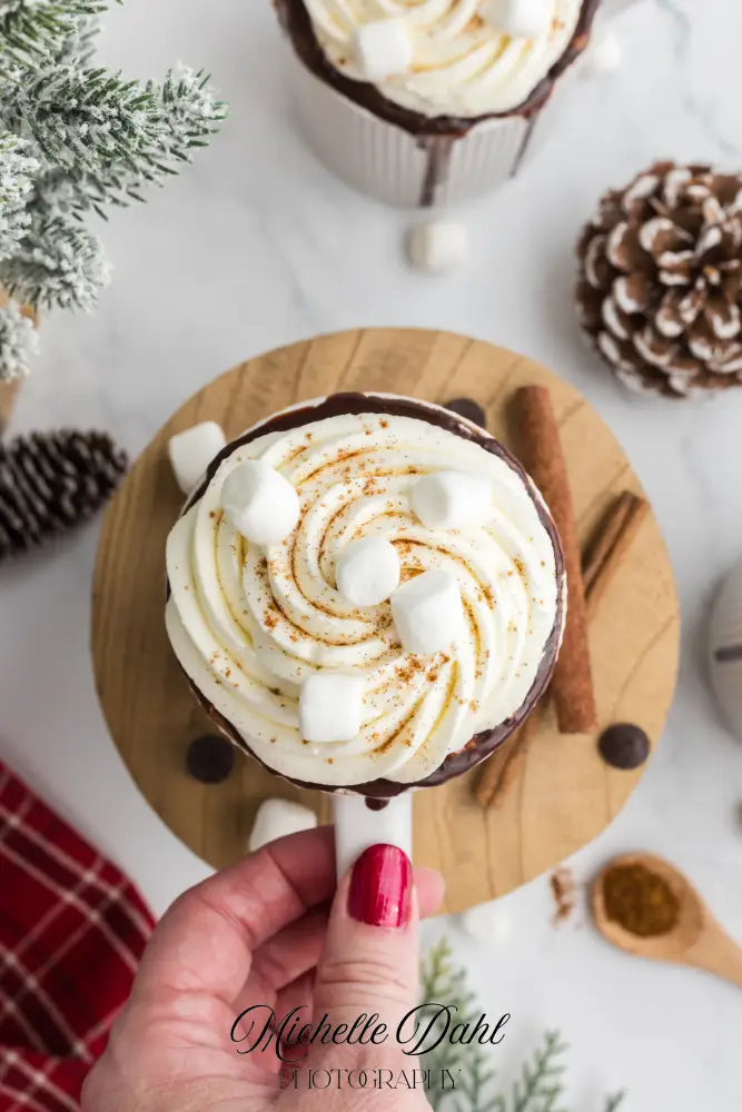 Mexican Chocolate Hot Cocoa Mug Cake