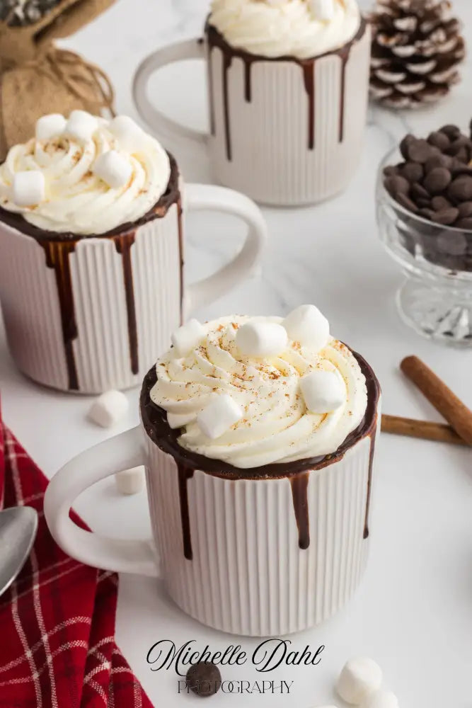 Mexican Chocolate Hot Cocoa Mug Cake