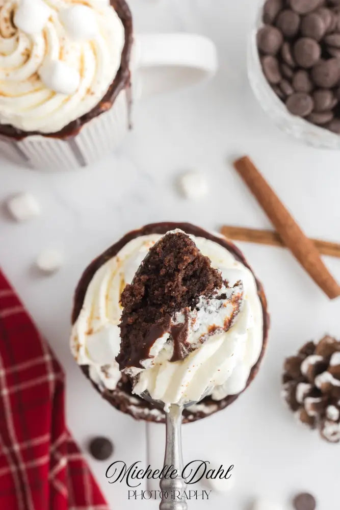 Mexican Chocolate Hot Cocoa Mug Cake