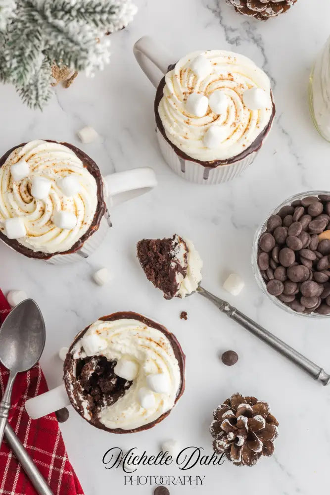 Mexican Chocolate Hot Cocoa Mug Cake