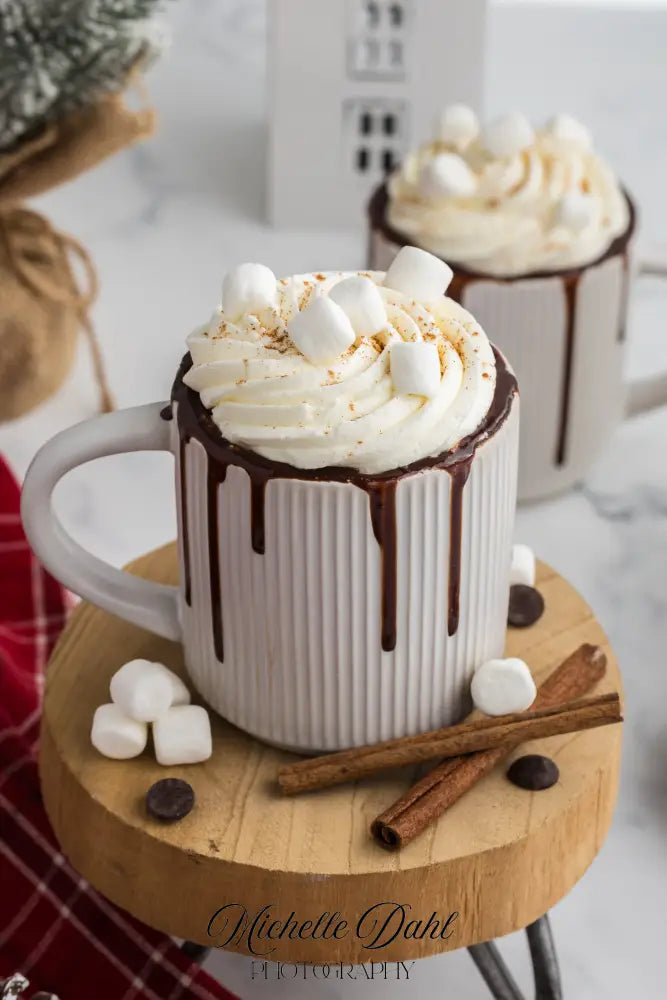Mexican Chocolate Hot Cocoa Mug Cake