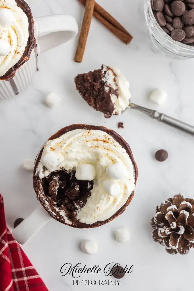 Mexican Chocolate Hot Cocoa Mug Cake