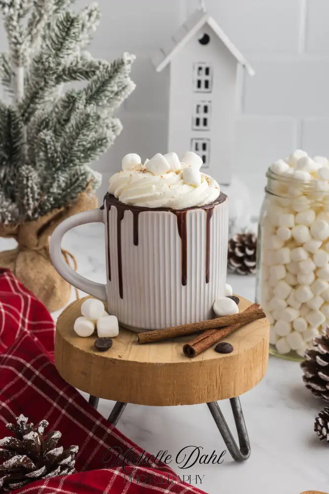 Mexican Chocolate Hot Cocoa Mug Cake