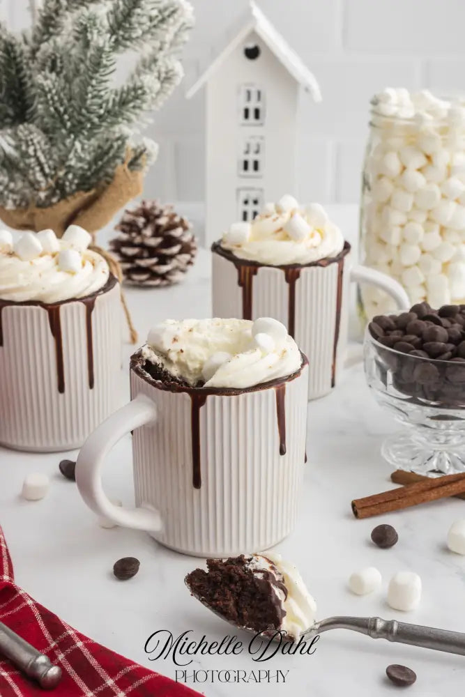 Mexican Chocolate Hot Cocoa Mug Cake