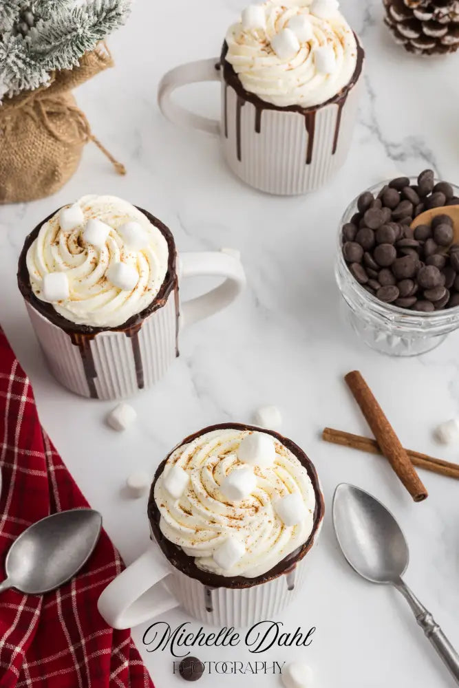 Mexican Chocolate Hot Cocoa Mug Cake